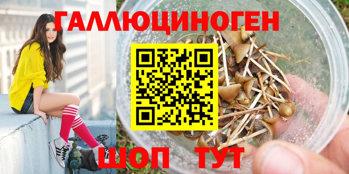 Волгодонск  Псилоцибиновые грибы мухоморы  Вход с VPN 