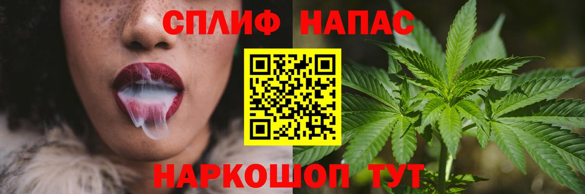 Марихуана сатива Волгодонск